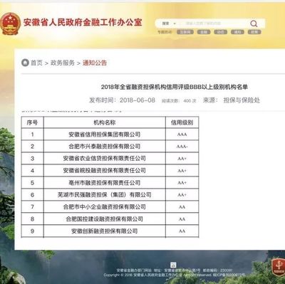 亳州市擔(dān)保公司榮獲2018年全省融資擔(dān)保機構(gòu)信用評級AA+級別
