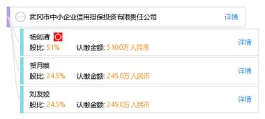 武岡市中小企業信用擔保投資有限責任公司