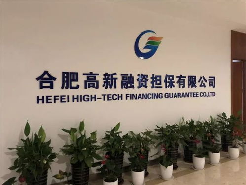 點贊 高新擔保公司信用等級提升至a 級別