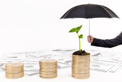 融資擔(dān)保是什么意思